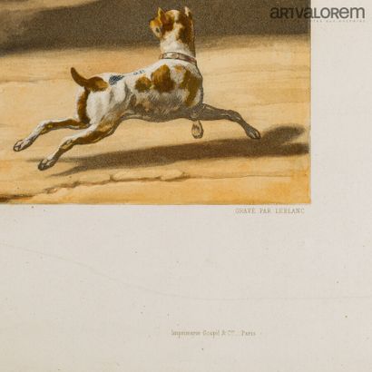 null Henri Auguste de MONTPEZAT (1817-1859) engraved by Leblanc

Series horses with...