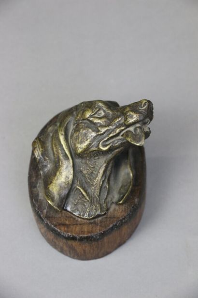 null Tête de chien en bronze patiné la langue sortie, fixée sur une base en bois

Hauteur:...
