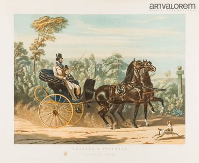 null Henri Auguste de MONTPEZAT (1817-1859) gravé par Leblanc

Série chevaux à voitures:...