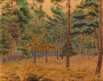 null Charles LACOSTE (1870-1959) 

Les pins, 1926,

Peinture sur carton, signé et...