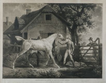 null Carle VERNET (1758-1835) engraved by Debucourt

Horse being butchered on the...