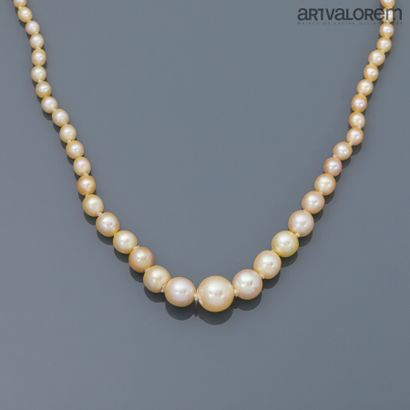 null Necklace composed of one hundred and twenty-one (121) fine pearls and five (5)...