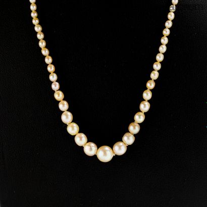null Necklace composed of one hundred and twenty-one (121) fine pearls and five (5)...