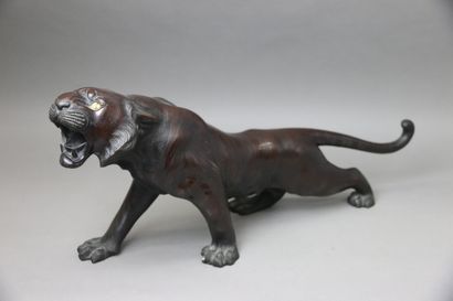null JAPON fin XIXe siècle

Okimono en bronze figurant un tigre rugissant, les yeux...