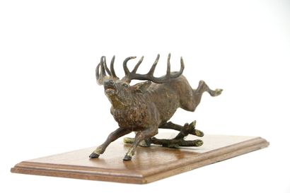 null Grand cerf sautant une barrière. 

Bronze de Vienne monté en heurtoir. 

Longueur...