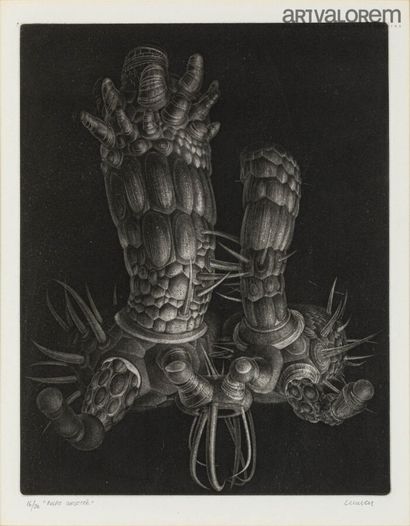 null 
François LUNVEN (1942-1971)

Pulpe corsetée, 1963

Gravure en manière noire...