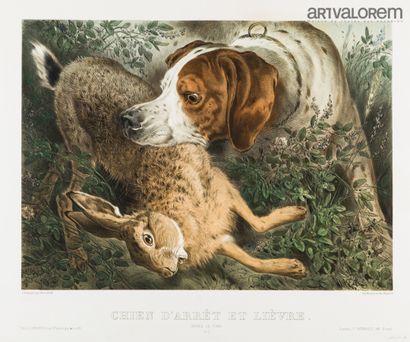 null Albert ADAM (1833-1900)

Hound and Hare

Lithograph in color 

47x56 cm

In...
