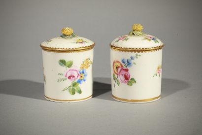 null VINCENNES-SEVRES, 18th century. 

Two covered cream pots in soft porcelain with...