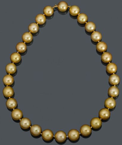 null Collier choker composé de trente perles des mers du sud de couleur gold. Fermoir...