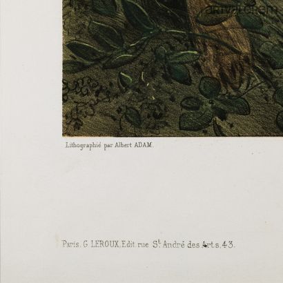 null Albert ADAM (1833-1900)

Chien d'arrêt et lièvre

Lithographie en couleur 

47x56...