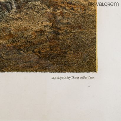 null D'après F.GRENIER (1793-1867)

Hallali d'un renard sur un toit

Lithographie...