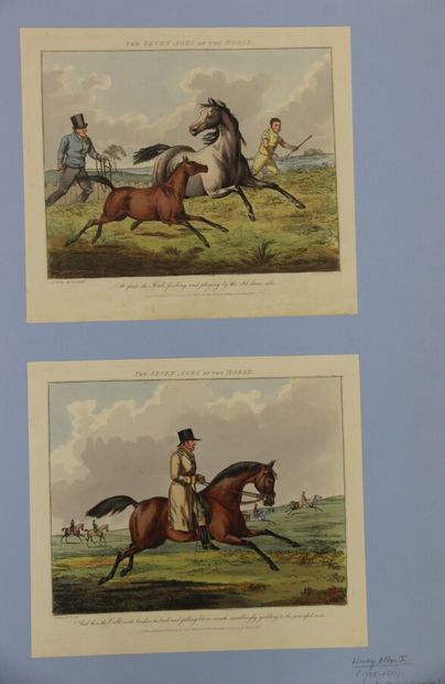 null Henry ALKEN I (1785-1851)

The seven ages of the horse

Suite de sept eaux fortes...