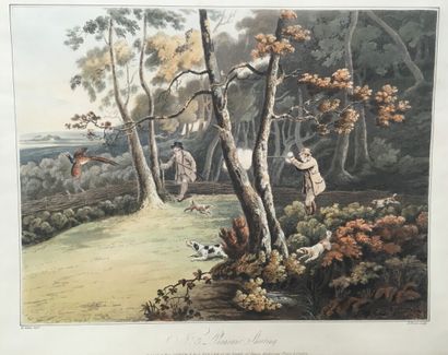 null H.ALKIN (1785-1851) del. R.Reeve sculpt.

Woocock shooting, The repast, Pheasant...