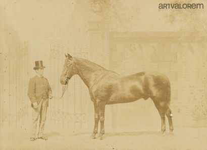 null Equitation, cavalier et son cheval. Circa 1880. Deux tirages albuminés contrecollés...