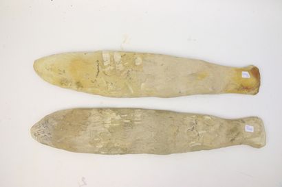 null Poissons fossiles avec gangues sous forme de coupe longitudinale.

L. 62,3 cm...