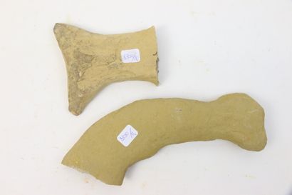 null Deux reliquats de parties caudales (médiane et terminale) de poissons fossiles.

L....