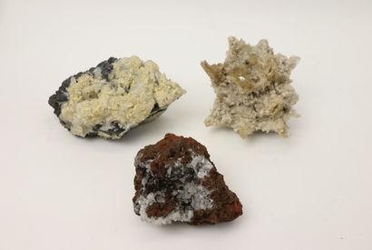 null Tourmaline noire avec quartz et pyrite

18 x 10 x 5 cm

Gypse

16 x 12 x 10...