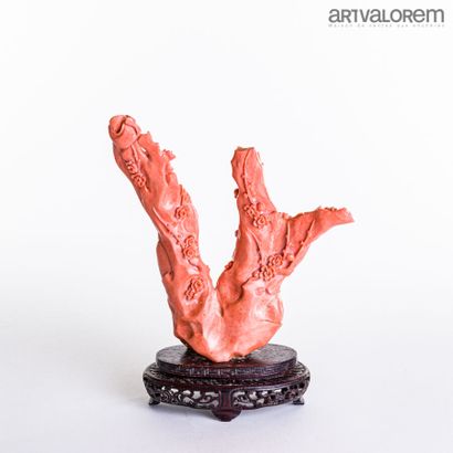 null CHINE, Xxe siècle

Deux danseuses en corail sculpté

Hauteur : 21,5 cm - largeur:...