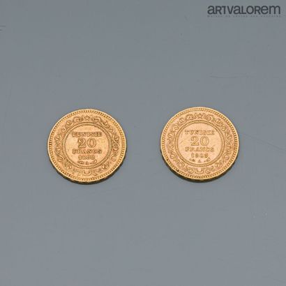 null TUNISIA

Two 20 francs gold

Years 1898 and 1903