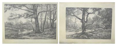 Auguste ALLONGE (1833-1898) Vues de la forêt de Fontainebleau Grand in folio de 12...