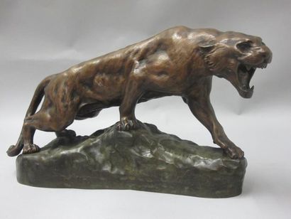 Thomas Francois Cartier (1879-1943) Lionne rugissant. bronze à patine verte et doré....