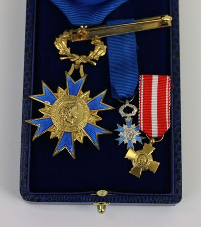 null France 

2 croix d'officier de l'Ordre du Mérite National. On joint : une miniature...