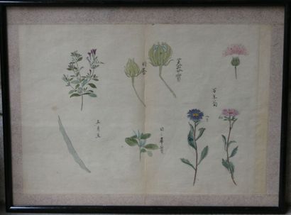 null École japonaise XXe siècle

Trois études de fleurs

Aquarelle sur papier, 26,5...