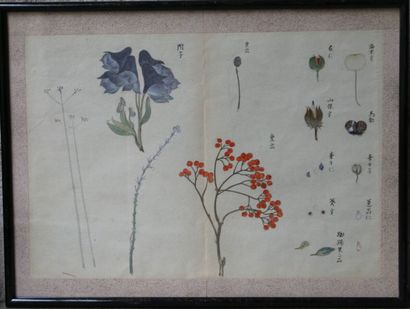 null École japonaise XXe siècle

Trois études de fleurs

Aquarelle sur papier, 26,5...