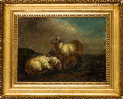 null Balthasar Paul OMMEGANCK (1755-1826) 

Sheep in a landscape 

Oil on canvas...