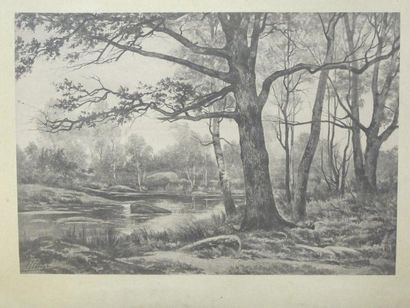 Auguste ALLONGE (1833-1898) Vues de la forêt de Fontainebleau Grand in folio de 12...