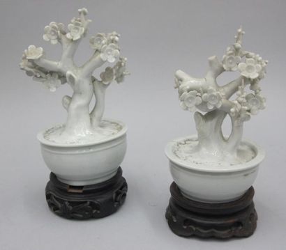 null Deux cerisiers en porcelaine blanche. Chine XIXème siècle, accidents