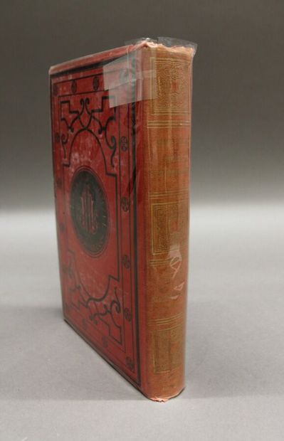 null JULES VERNE

Extraordinary journeys, The Mysterious Island, Hetzel collection,...