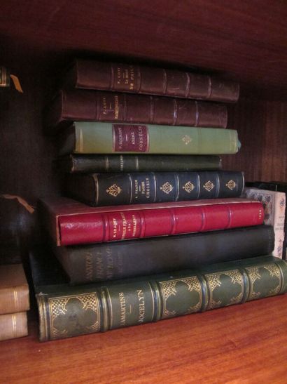 null Lot of 19th century bound books