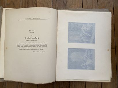 null [Sales Catalogues]

Set of four sales catalogs, including: 

- E. M. Hodgkins...