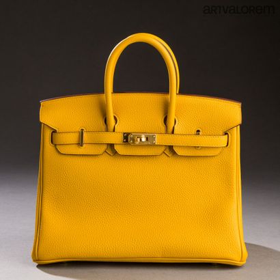 null HERMÈS Paris

Sac Birkin 25 cm en veau togo jaune, bijouterie en métal plaqué...