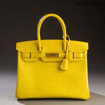 null HERMÈS Paris

Sac Birkin 30 cm en alligator mat (Mississippiensis wat M9) couleur...