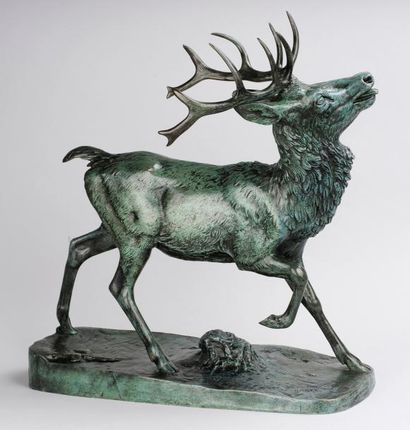 D'après Antoine Louis Barye (1795-1875) Cerf. Bronze patine verte, signé sur la terrasse,...