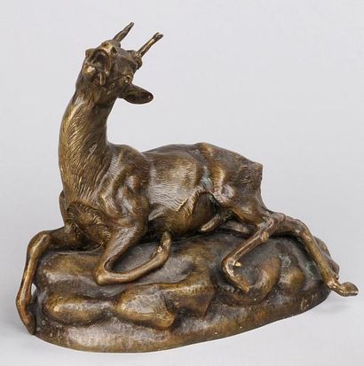 Clovis MASSON (1838-1913) Chevreuil, bronze à patine médaille, signé sur la terrasse....
