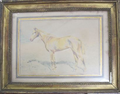 null XIXth century SCHOOL
Horse in the meadow
Watercolor on paper.
13 x 18 cm (at...