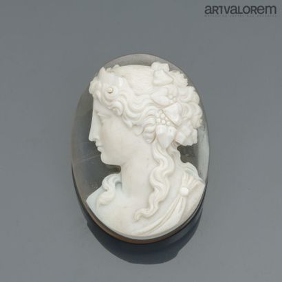 Medallion-shaped cameo on agate decorated...