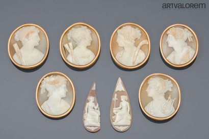Suite of six shell cameos engraved with antique-style...