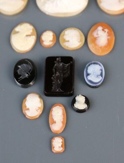 null Ten shell cameos engraved with portraits of women and a mythological scene featuring...