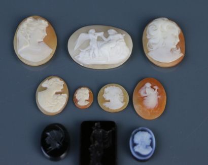 null Ten shell cameos engraved with portraits of women and a mythological scene featuring...