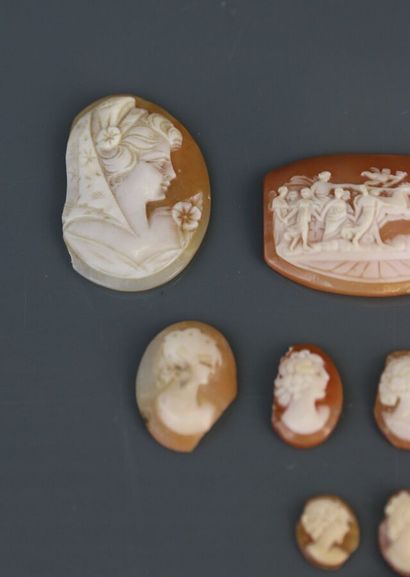 null Nine shell cameos of various diameters, one decorated with a mythological scene...