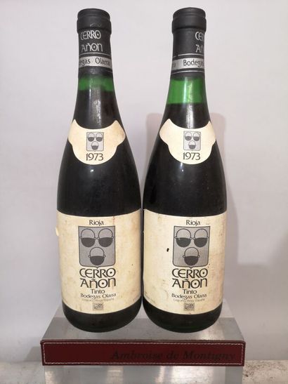 2 bouteilles ESPAGNE RIOJA Cerro Anon - Bodegas...