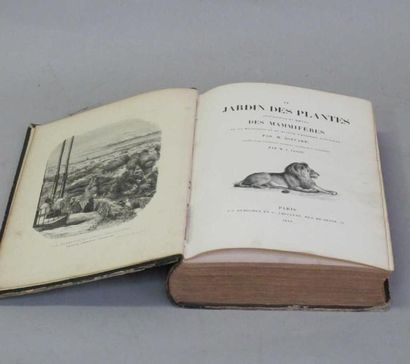 null LIVRE "Livre illustré ""Le Jardin des plantes- Description et moeurs des mammifères""...