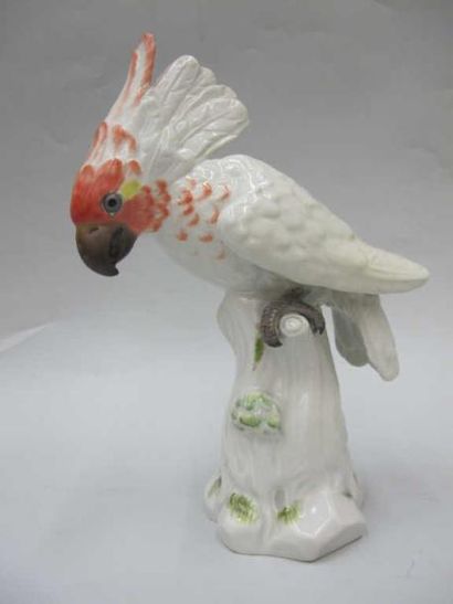 MEISSEN Cacatoes sur un tronc en porcelaine polychrome. marqué XIXème siècle.Hauteur:...