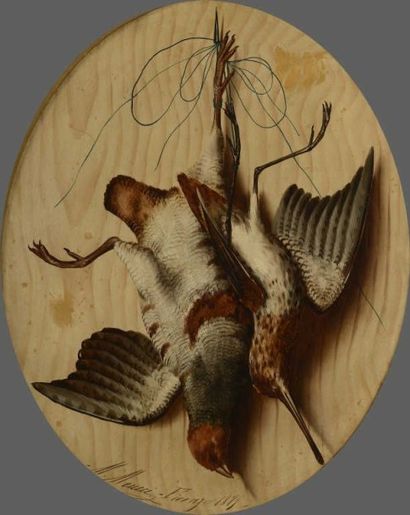 null Michelangelo MEUCCI (1840-1909). Natures mortes de chasse, au col vert vert...