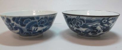 ASIE VIETNAM, XIXe siècle Deux bols en porcelaine bleu-blanc à décor de deux dragons...