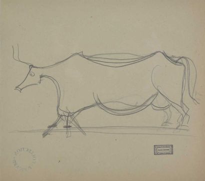 DERAIN ANDRÉ (1880-1954) Taureau. Mine de plomb sur papier beige (légère insolation)....